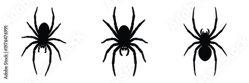 spider crawling silhouette set vector illustration