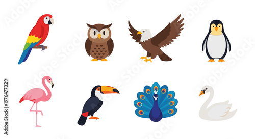 Flat design icons of various colorful birds on white background including parrot owl eagle penguin flamingo toucan peacock and swan for graphic design and educational purposes