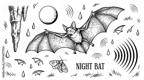 Hand drawn engraving vector illustration set of a flying bat in a cave at night with moon, moth, stalactites and echolocation sound waves