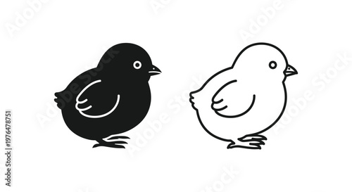 Chick Illustration Baby Bird Designs for Art  Projects Vector