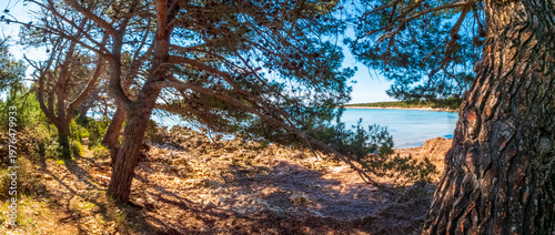 Parzine Beach, Ilovik, Croatia, in springtime
