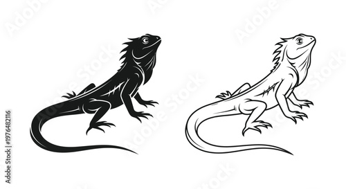 Iguana Art Sketches Unique Black and White Illustrations Vector