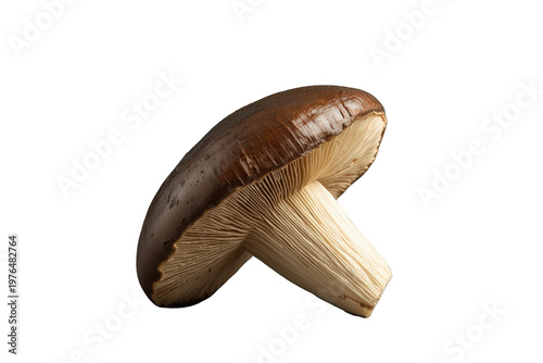 Fresh shiitake mushroom on transparent background, showing rich texture and culinary detail for organic food concepts