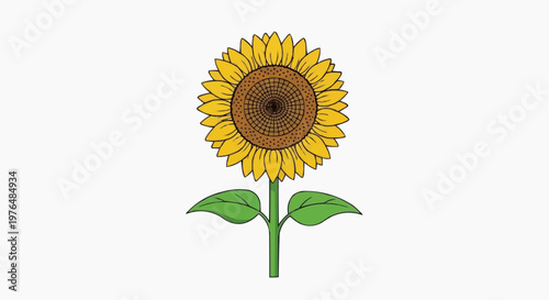 A vibrant sunflower in full bloom, showcasing its bright yellow petals and a rich brown center