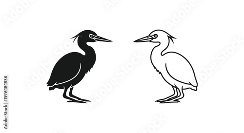 Black and White Heron Birds Illustration Guide Vector