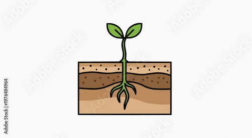 A young sprout growing in the soil, symbolizing new life and growth. A small plant with its roots firmly planted, ready to flourish.