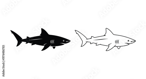 Black And White Shark Vector Designs Vector