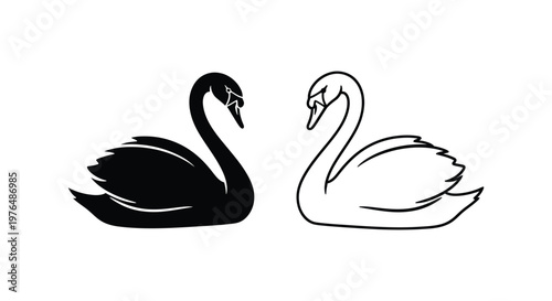 Elegant Black and White Swan Pair Design Vector