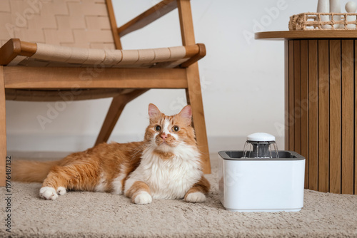 Slika na platnu Cute ginger cat with automatic pet water fountain lying on floor near armchair a