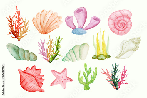 Pastel Seashell Clipart Set Coastal Ocean Elements Summer Beach Illustration