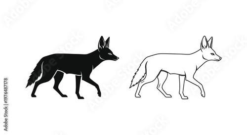 Canine Comparison Black Fox vs Light Fox Guide Vector