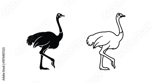 Ostrich vs Emu Bird Silhouettes Comparison Vector