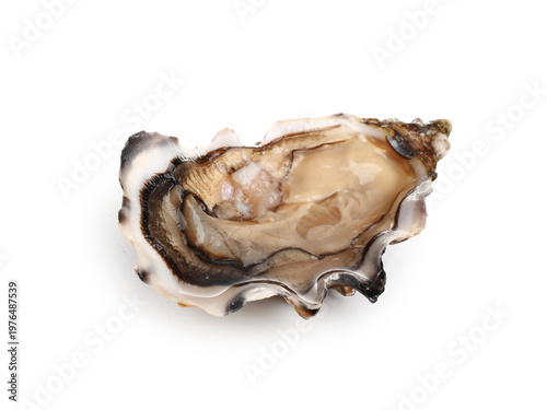 Delicious fresh oyster on w...