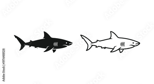 Shark Vector Designs Black  White Illustrations Vector
