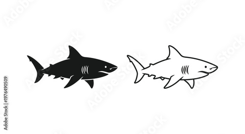 Great White Shark Vector Designs  Illustrations Vector