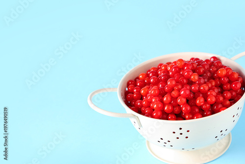 Colander with fresh viburnu...