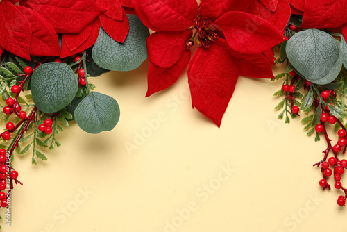 Christmas flower poinsettia...
