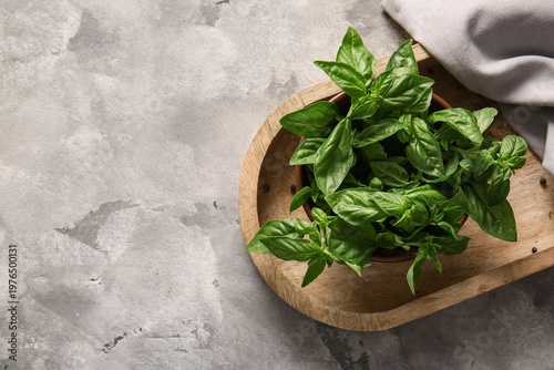 Bowl with fresh green basil...