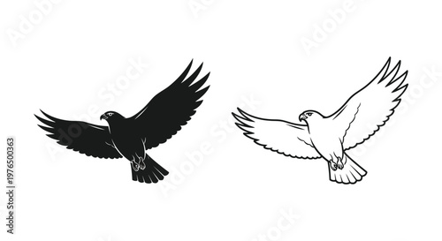 Symbolic Birds Flying Peace Dove  Raven Art Design Vector