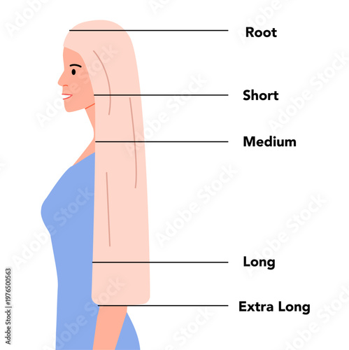 Flat color hair length guide in side view with clear length levels and clean structure, modern minimal vector design suitable for beauty education, salon visuals and digital products