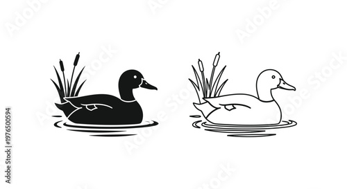 BlackWhite Ducks Nature Sketch Illustrations Vector