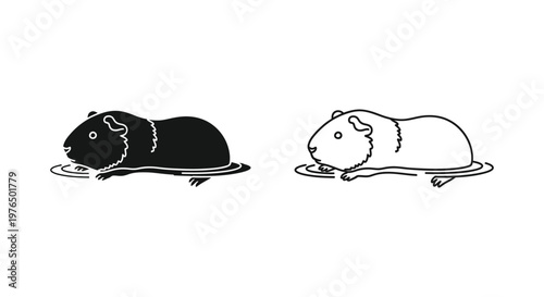 Guinea Pig Coloring Black vs White Cute Design Vector