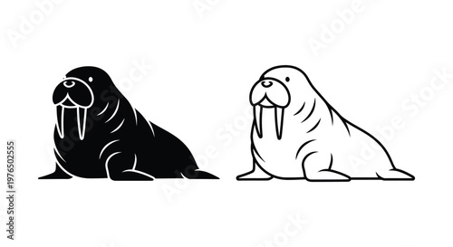 Walrus Illustration Art Comparison Black and White Vector