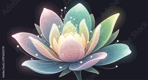 Beautiful Lotus Flower in Bloom.