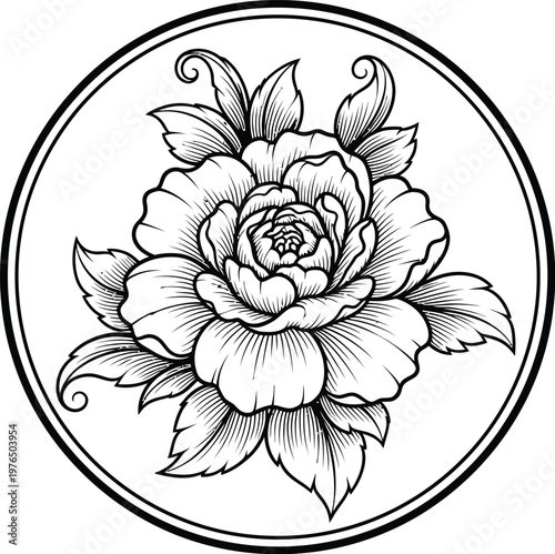Black and white peony flower illustration.