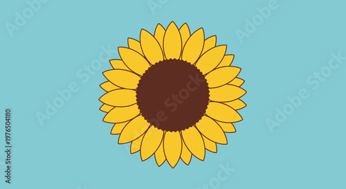 Bright Yellow Sunflower Close Up View.