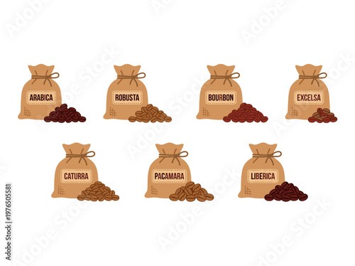 Seven Different Coffee bean varieties in sacks