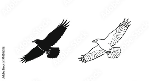Symbolic Black Crow White Dove Contrast Art Vector