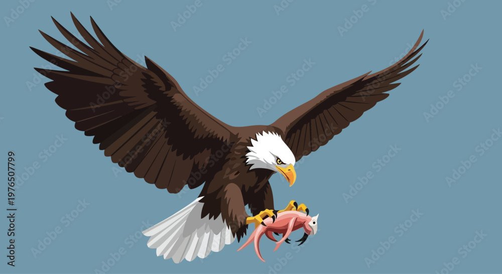 Fototapeta premium Bald Eagle Carrying Pink Prey Aerial.
