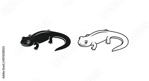 Salamander vs Newt Amphibian Comparison Guide Vector