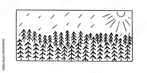 Black and white line art illustration of a dense forest with rain falling and sun shining