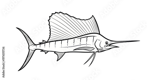 Sailfish illustration, majestic ocean predator with prominent dorsal fin, black and white line art