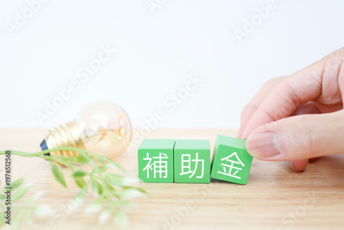 補助金と電球・エコな電気代補助のイメージ緑ブロック文字