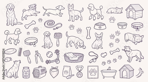 A charming hand-drawn illustration featuring a wide variety of dog breeds and essential pet care items, perfect for pet lovers and animal enthusiasts.