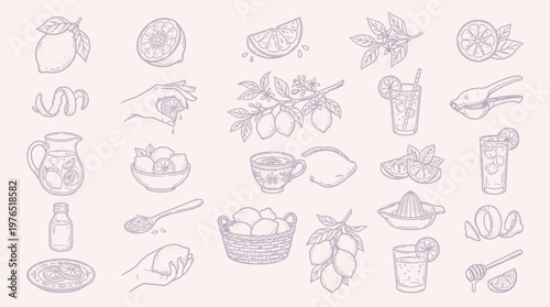 A charming collection of hand-drawn illustrations depicting various aspects of lemons and lemon-based beverages, presented in a soft, pastel color palette.