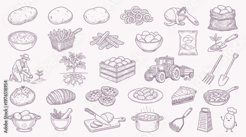 A comprehensive collection of hand-drawn illustrations depicting various aspects of potato cultivation, preparation, and consumption.