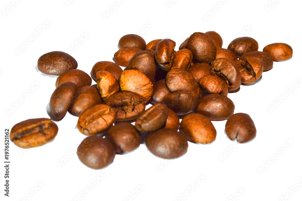 Fototapeta premium Coffee beans . Cut out on transparent 