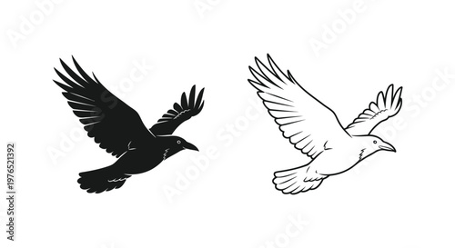 Symbolic Birds Raven Dove Peace Strength Flight Vector