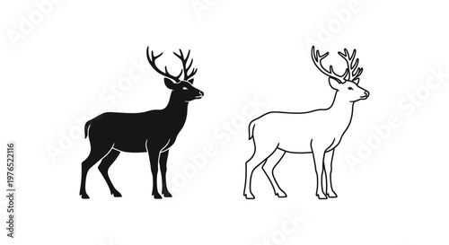 Deer Antlers Comparison Guide Male vs Female Deer Vector