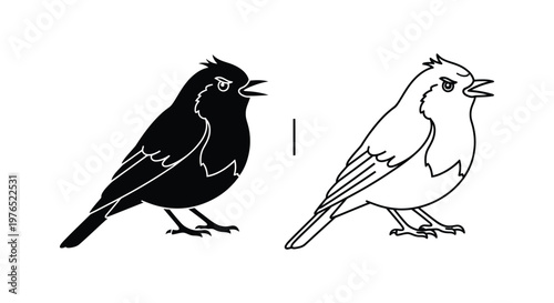 Black and White Bird Silhouette Comparison Guide Vector