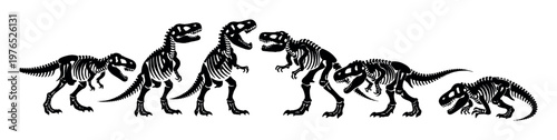 Tyrannosaurus rex fossil silhouettes evolving, growing, and moving across different conceptual stages