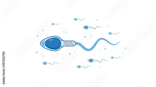 Human Sperm Cells Swimming Towards Fertilization Medical Illustration