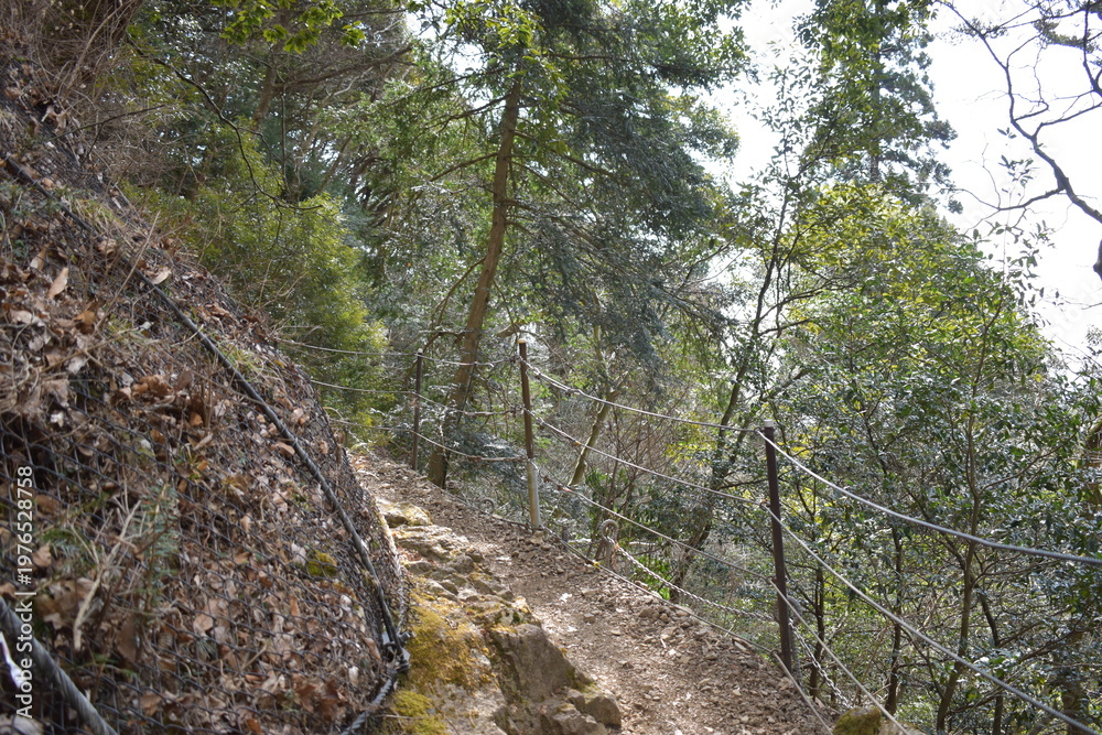 Obraz premium Mountain Trekking Path with Protective Wire Mesh and Fence