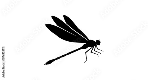 Black dragonfly silhouette insect.