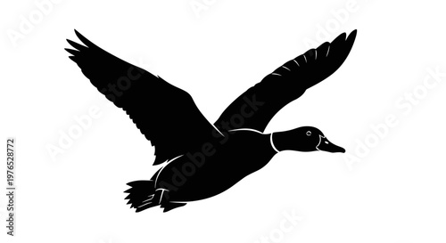 Black Duck in Flight Silhouette 1.