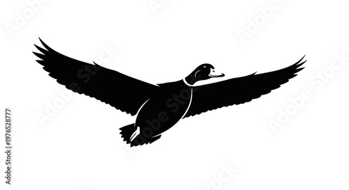 Black Duck in Flight Silhouette.